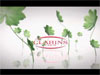 Clarins White +